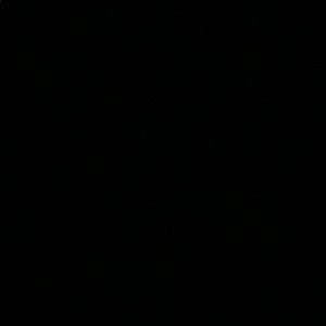 Meet your Posher, Ella